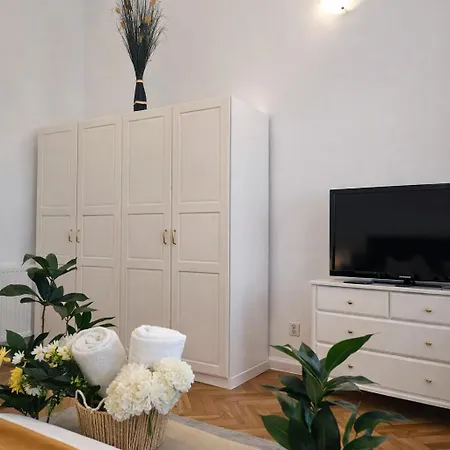 Apartment Republicii Old Town Brasov